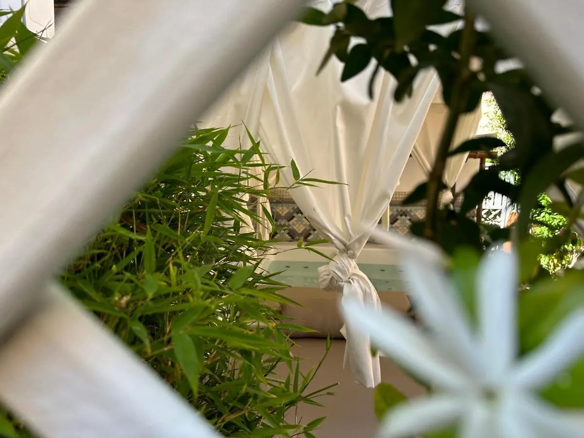 Domus Socolatae Residenza D'Epoca Charming B&B - Adults Only Follonica